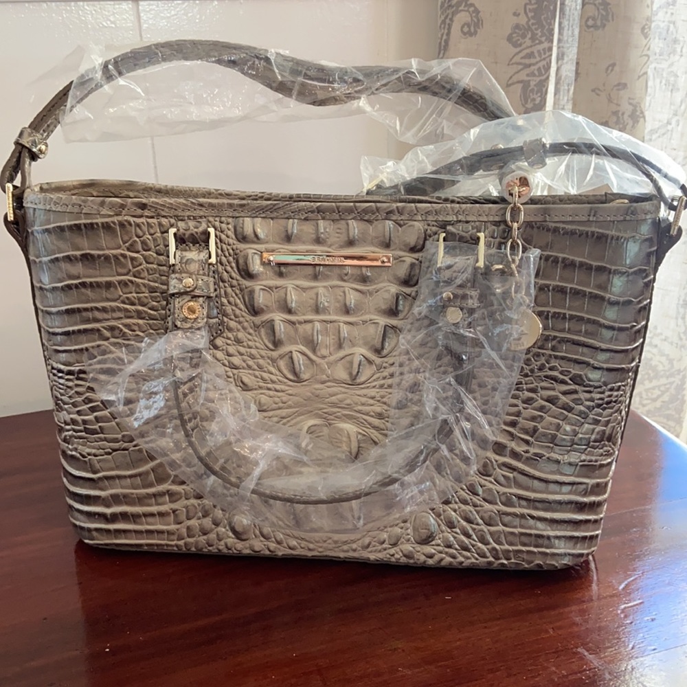 Brahmin mini Asher in hemlock